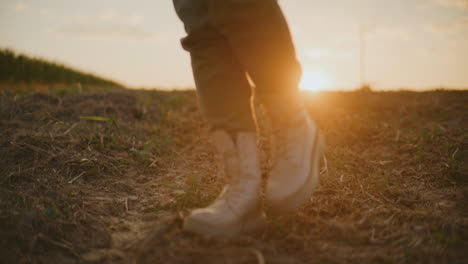 person walking in a field at sunset