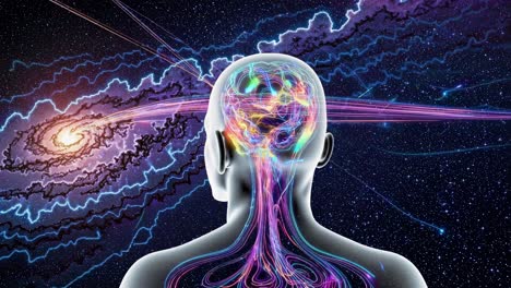 human brain connected to the universe