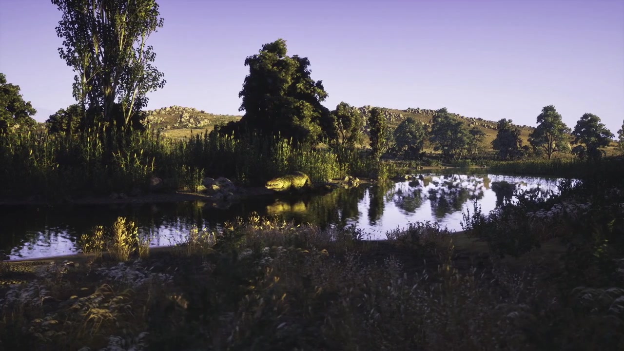Corso d'acqua tranquillo serpeggia tra vivaci fioriture di prato al crepuscolo