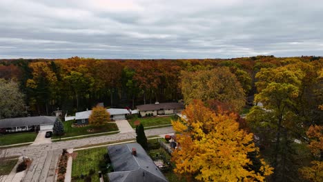 Stormy-winds-across-the-leaves