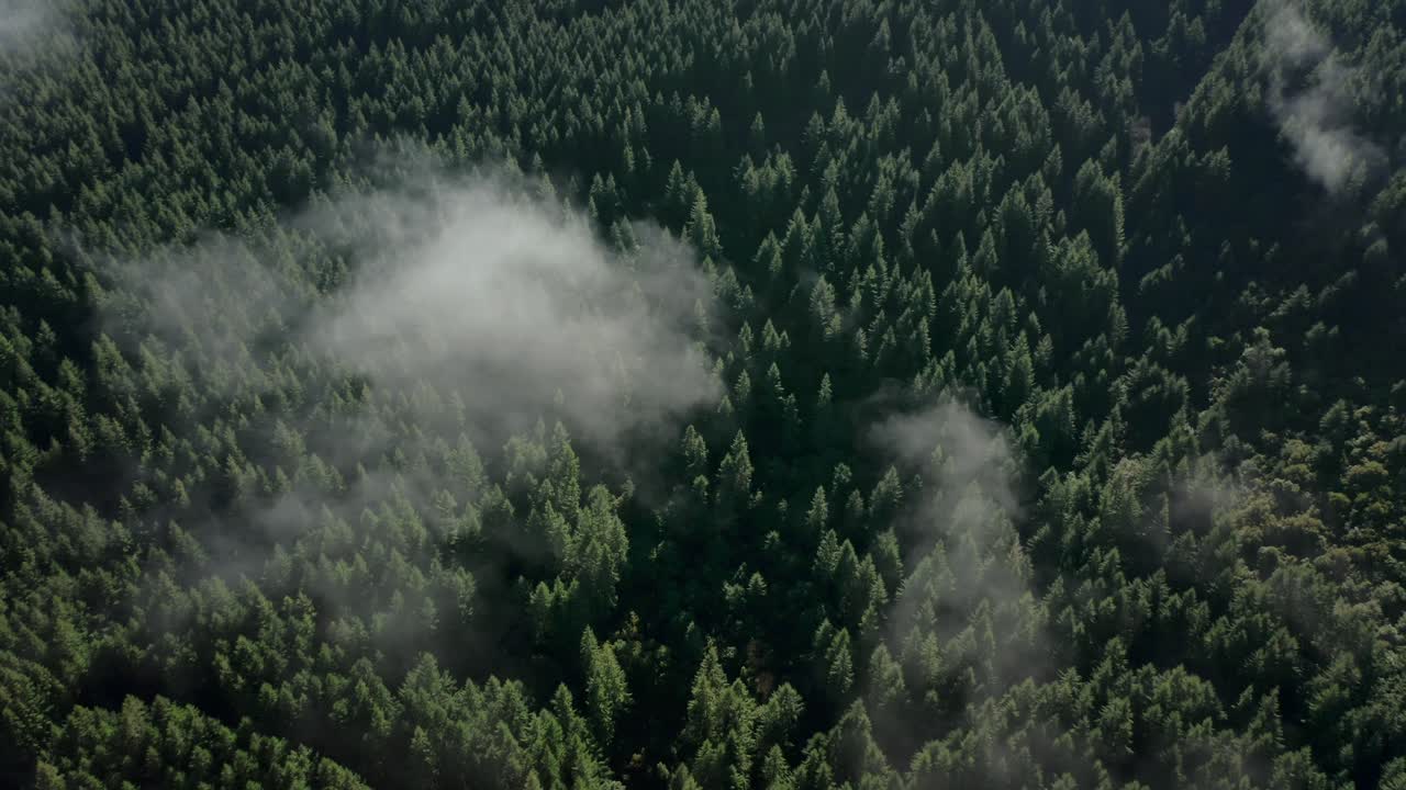 bosque de madeira con pequeñas nubes de luz en un día soleado, pico do arieiro, antena