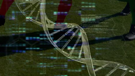 Animación-Del-Procesamiento-De-Datos-Y-Cadenas-De-ADN-Sobre-Diversos-Jugadores-De-Fútbol-Masculinos-Jugando-En-El-Estadio.