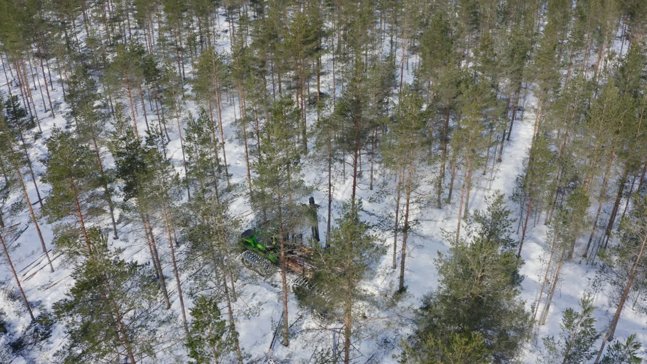 plano general de la máquina forestal recogiendo troncos en el pantano