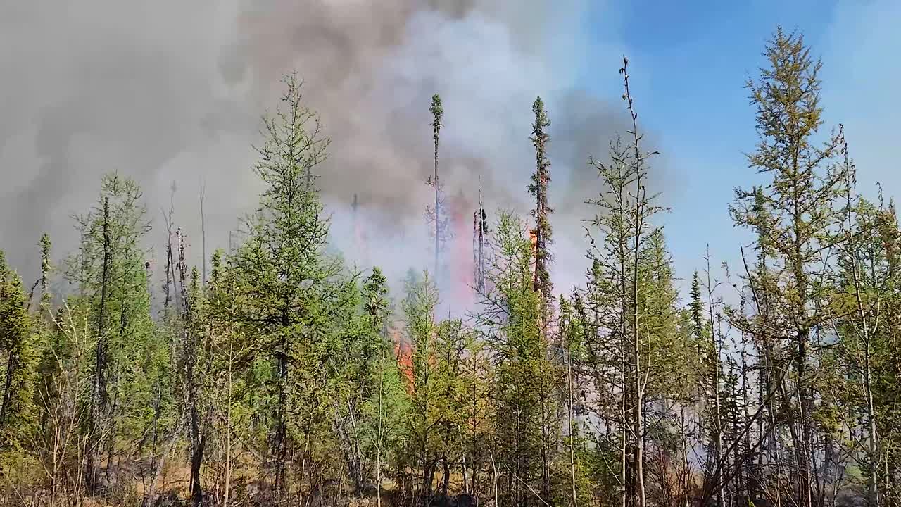 árboles en llamas en el desierto canadiense, el incendio forestal se intensifica
