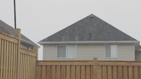 a winter's snowfall in the backyard of a residential house.