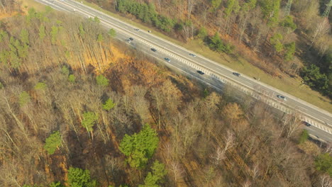 la fotografía aérea de una carretera cerca de gdynia muestra un contraste entre los árboles de hoja caduca siempre verdes y dormidos que bordean la autopista, creando un tapiz natural en el paisaje.