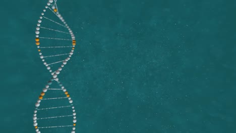 adn abstracto animación 3d en fondo azul. holograma azul brillante rotación del adn doble hélice. conceptos de ciencia y medicina. fondo sin costuras loopable partículas flotantes en el fondo