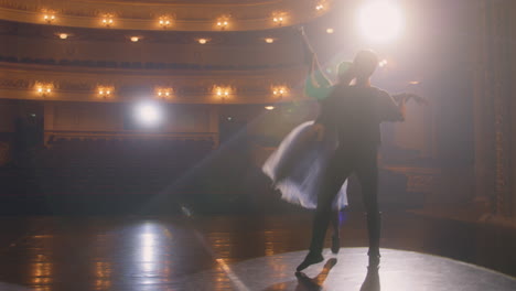 ballet performance on stage