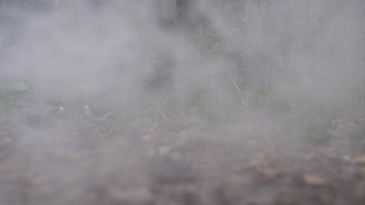 안개의 배경, 추상적인 연기 구름, 숲의 배경에서 느린 속도로 움직이는 연기, 공간에서 천천히 떠다니는  연기.