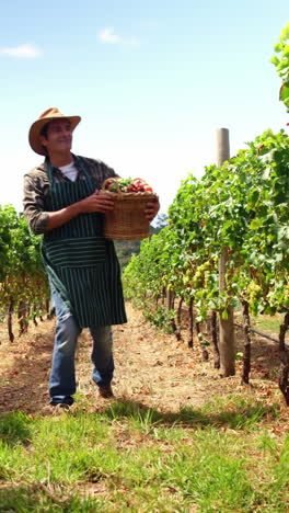 granjero caminando y sosteniendo una canasta de frutas y verduras