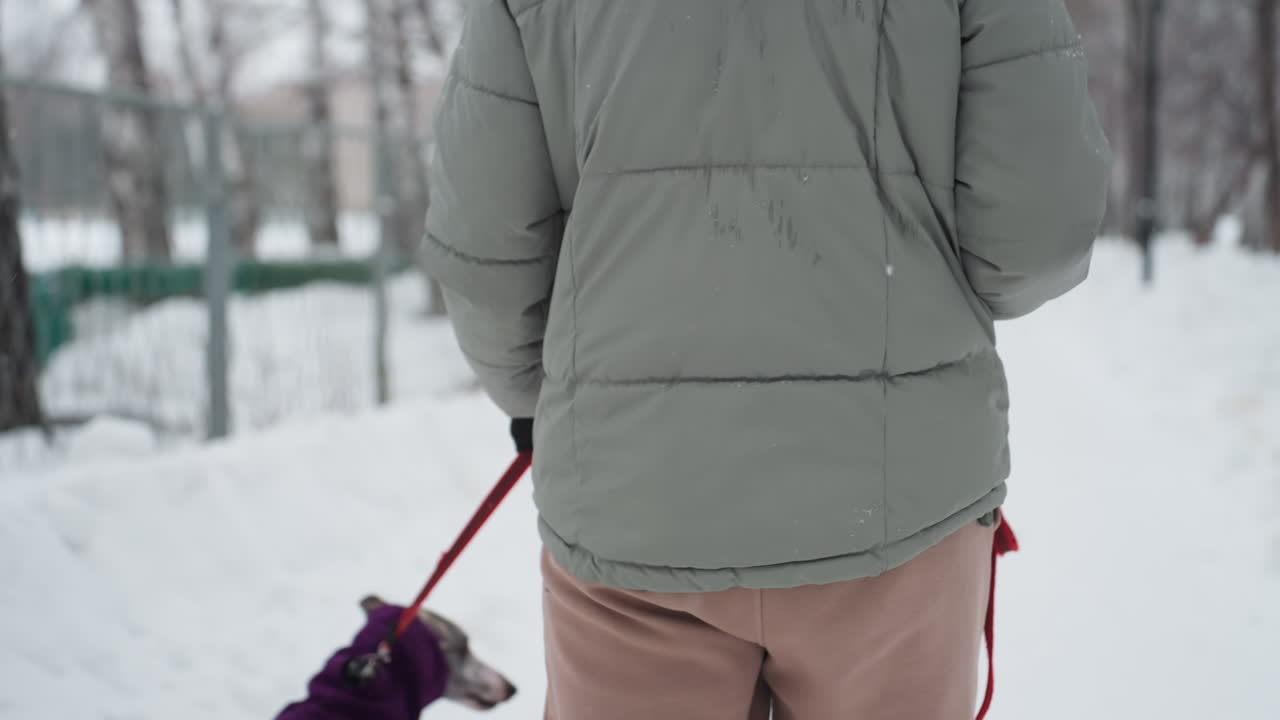 Dog owner standing in snowy park during winter, close-up of lower body wearing puffy jacket and beige pants, holding red leash with small part of dog in purple coat visible beside leg in cold outdoor scene