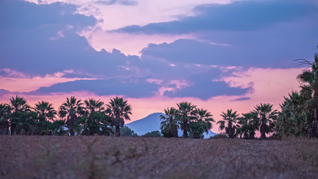 Time lapse of clouds moving in a purple sky over palm trees