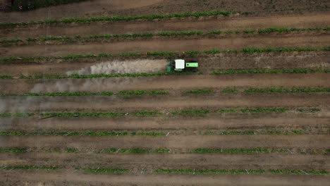 tractor crea una nube de polvo como su utilizado para cultivar los viñedos