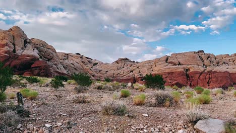 red rock canyon landscape