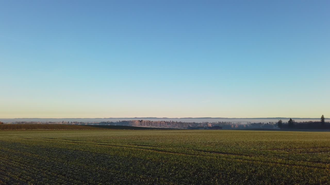 독일 블랙 포레스트 의 푸른  ⁇  위 에서 해 가 지는 풍경