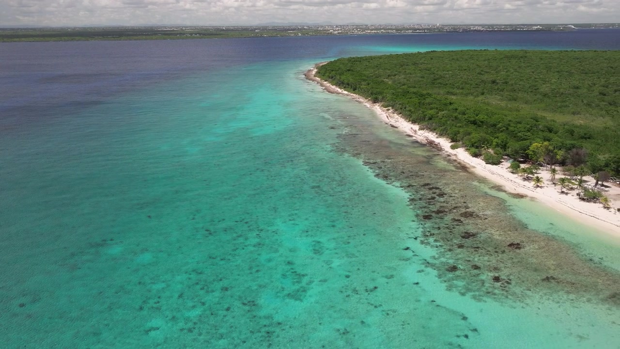 Splendida vista della baia di Catalina, mare cristallino, natura selvaggia e bellissima spiaggia sabbiosa, Mar dei Caraibi. Isola di Catalina. Repubblica Dominicana