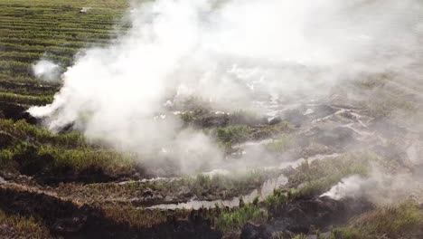 Gran-Cantidad-De-Humo-Blanco-Liberado-Durante-La-Quema-Al-Aire-Libre-En-Los-Arrozales-De-Malasia.