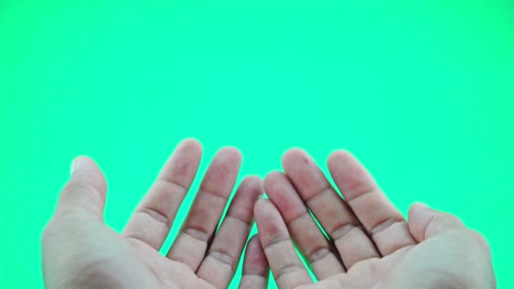 네 손을 열어보십시오: 초록색 스크린 배경에 분리된 사람의 손, 빈 손을 들고 있는 사람이, 가상적이고 보이지 않는 무언가를 보여주는 평평한 손바닥을 열고 있습니다.