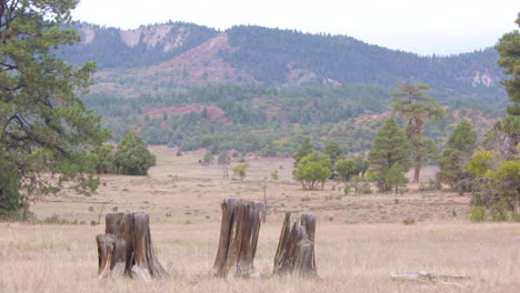 wide shot of new mexico mountains