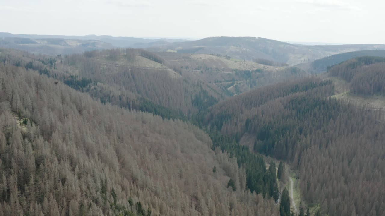 vistas aéreas de drones del parque nacional de harz en alemania central