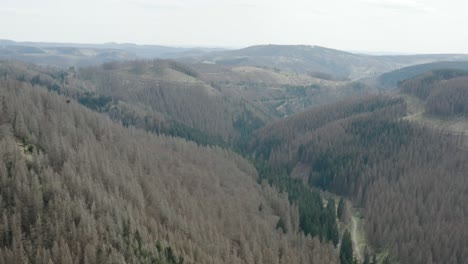 Drone-Aerial-views-of-the-Harz-National-Park-in-central-germany