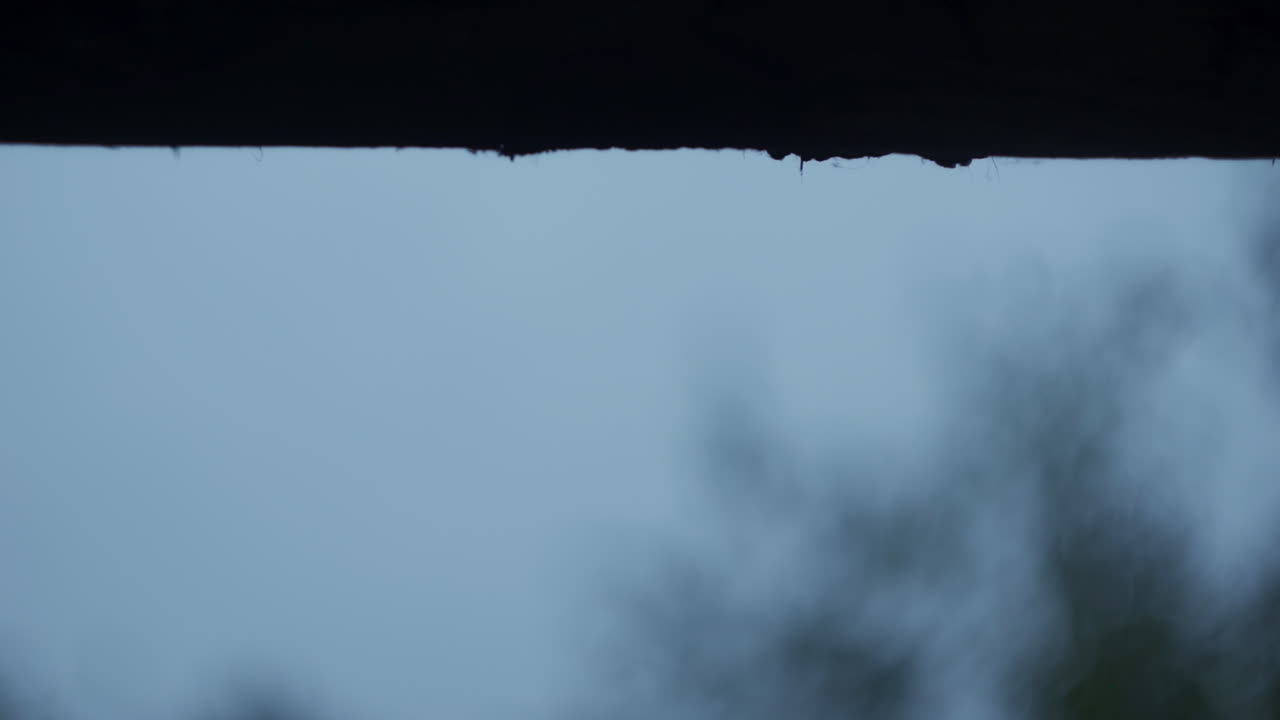 Rainy Day View from a Roof