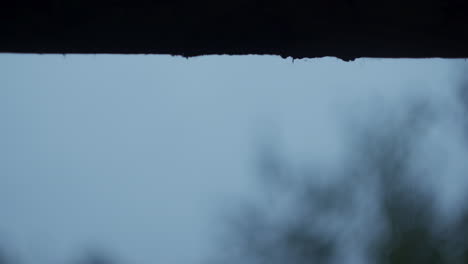 rainy day view from a roof