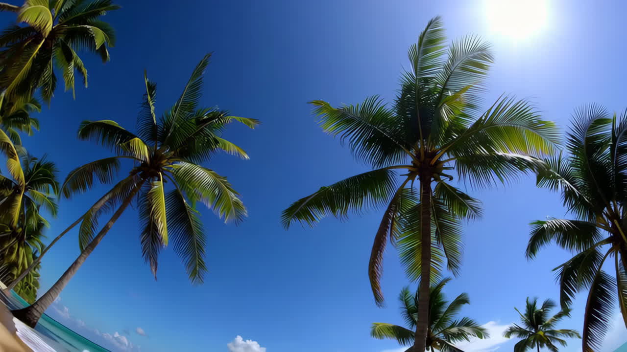 열대 해변 파라다이스