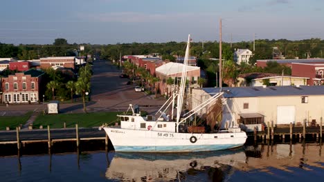 imágenes aéreas tomadas en el área de la bahía de apalachicola en florida