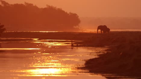 beautiful african sunset along a river with two elephant silhouettes in the distance. zimbabwe.