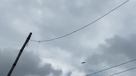 pájaros flotando sobre las viejas líneas eléctricas en bangladesh