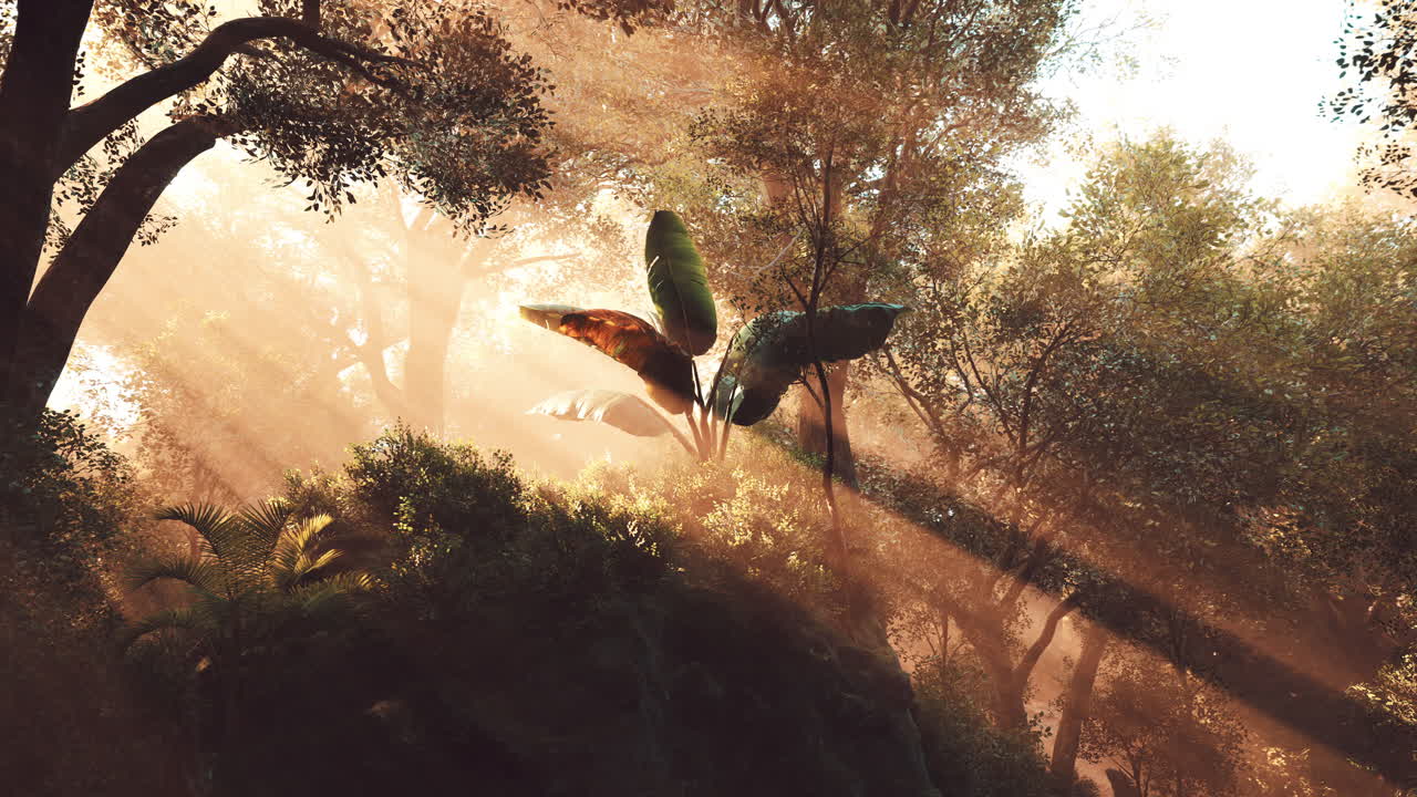 Sunlight filters through trees in a lush forest highlighting vibrant foliage