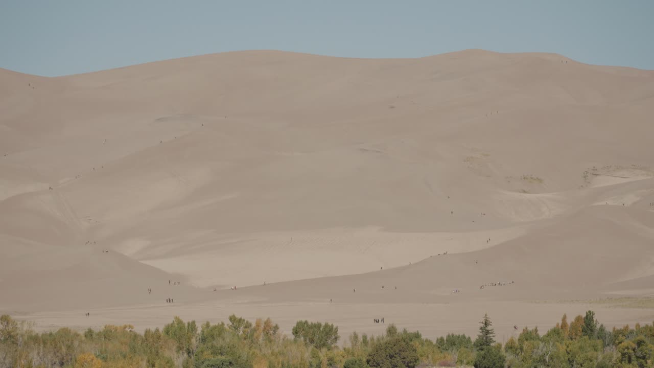 Sand dunes landscape