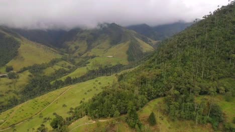 cocora green valley mountains covered by low clouds