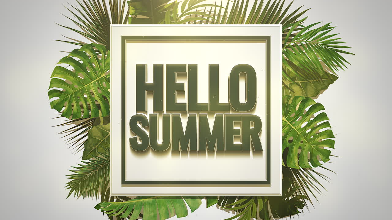 Hello Summer on white frame with tropical green tree