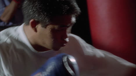 boxers practice punching on punching bags