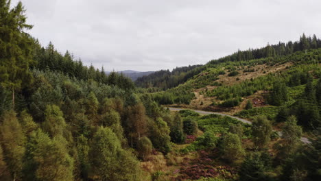 aerial shot following a road with a sweeping view over a tree-filled valley in scotland on a bright summer's day