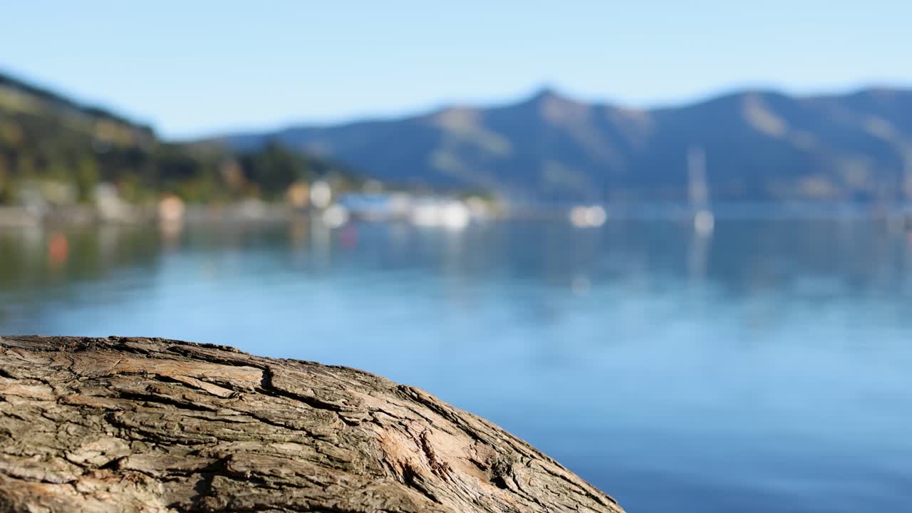 A serene lakeside scene with a focus on a textured tree trunk, set against a blurred mountainous backdrop