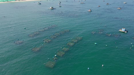 aerial shot of big sea farms in the open sea in tropics. marine farming concept