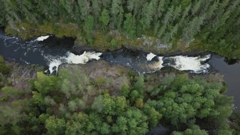 aerial footage of a karelian waterfall kivach, full water flow over the top, beautiful nature, foam on water