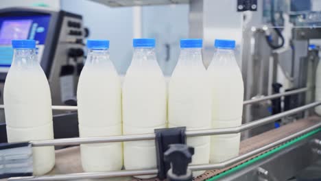 milk production line at dairy factory. automated production line at milk factory. modern plant for bottling milk in plastic bottles.
