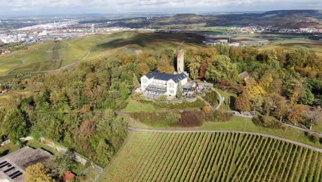 vinyard in the south of germany