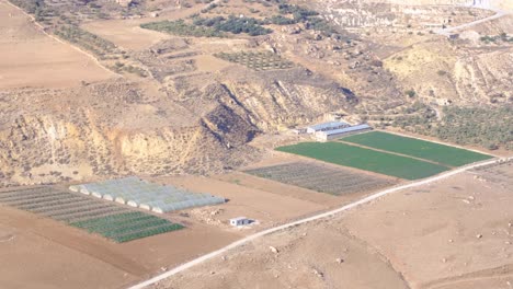 Vista-De-La-Industria-Agrícola-Cultivando-Cultivos-Frutales-En-El-Medio-Oriente,-Jordania,-Plano-Estático-De-La-Agricultura,-El-Paisaje-De-Producción-De-Alimentos