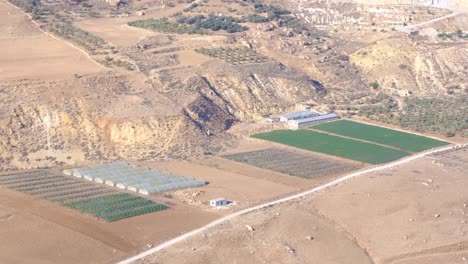 vista de la industria agrícola cultivando cultivos frutales en el medio oriente, jordania, plano estático de la agricultura, el paisaje de producción de alimentos