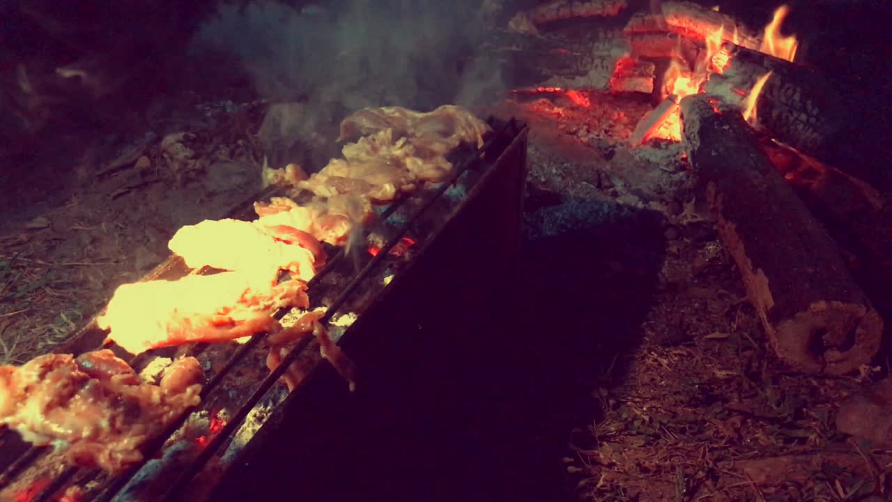 밤에는 캠프에서 숲에서 그릴에 불을 는 고기
