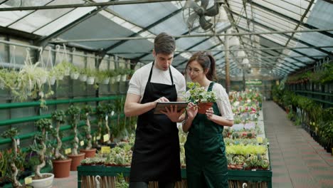 Blumenladenanalyse:-Teamwork-Und-Technologie-Für-Den-Erfolg-Im-Einzelhandel.-Dreharbeiten-In-Voller-Länge