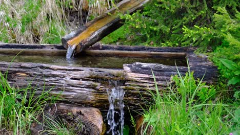 clear drinking water from the mountain