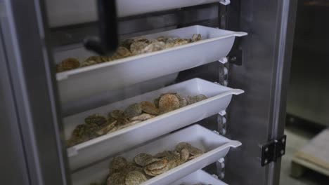 Close-shot-of-a-einkorn-chips-going-trough-a-machine