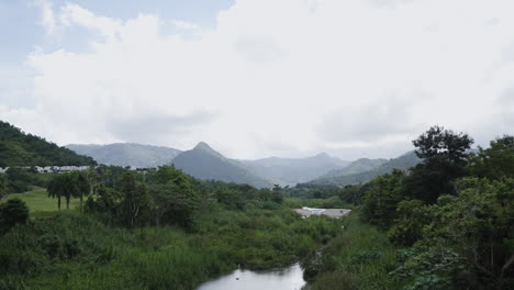 Slow-motion-panning-shot-of-the-vast-mountain-landscape-in-Puerto-Rico