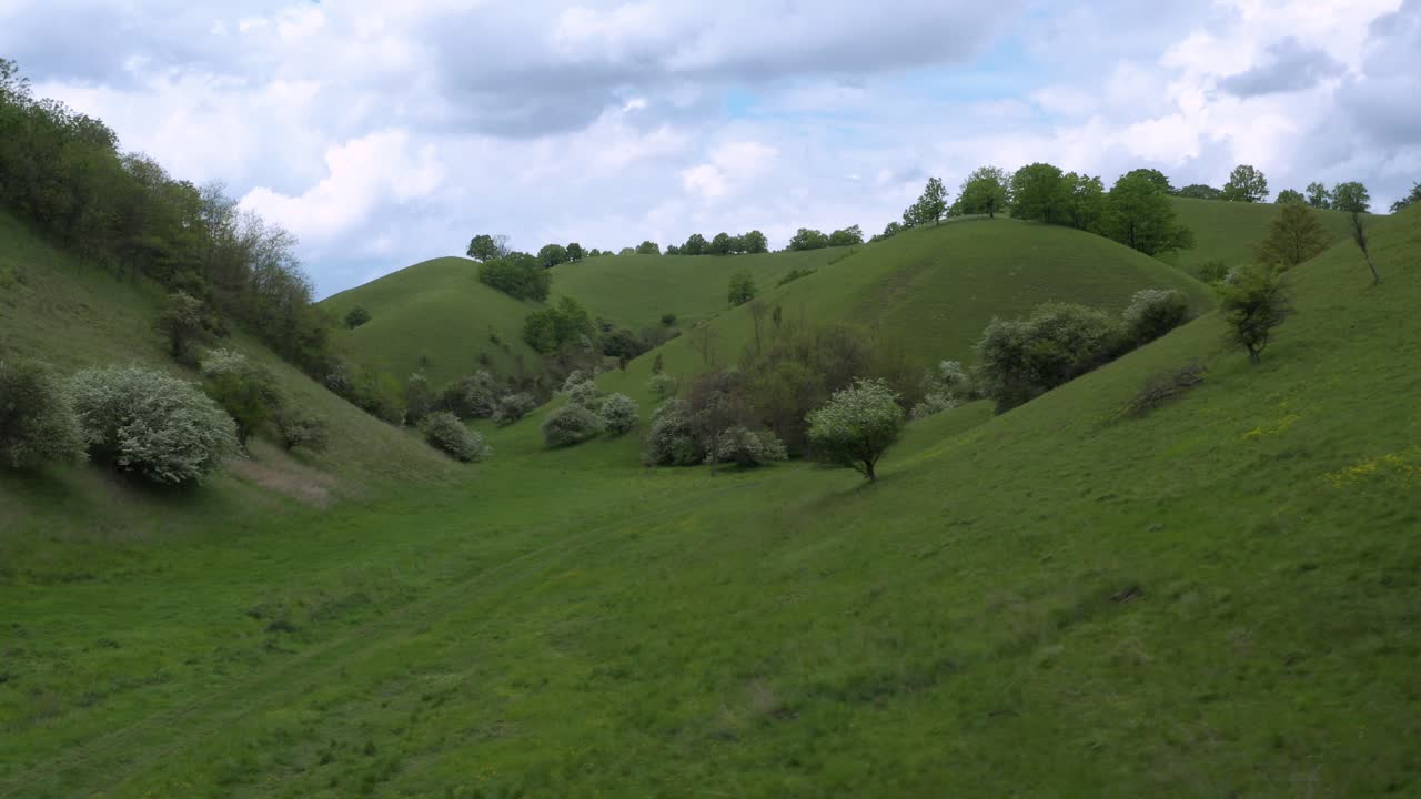 hermosa mañana nublada en arenas deliblato, banat, vojvodina, serbia